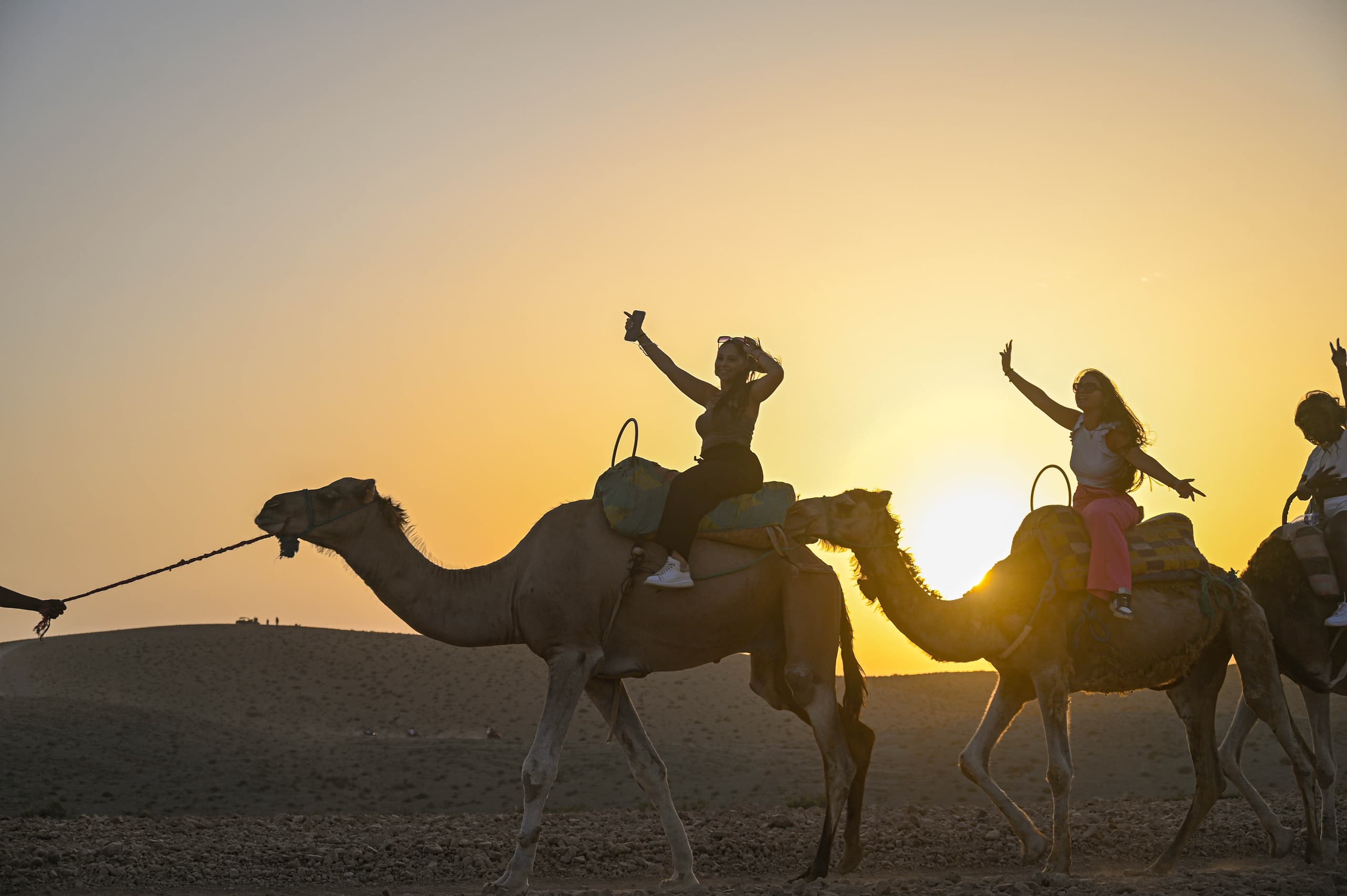 Quad and Camel Combo – 2H Quad + 1H Camel