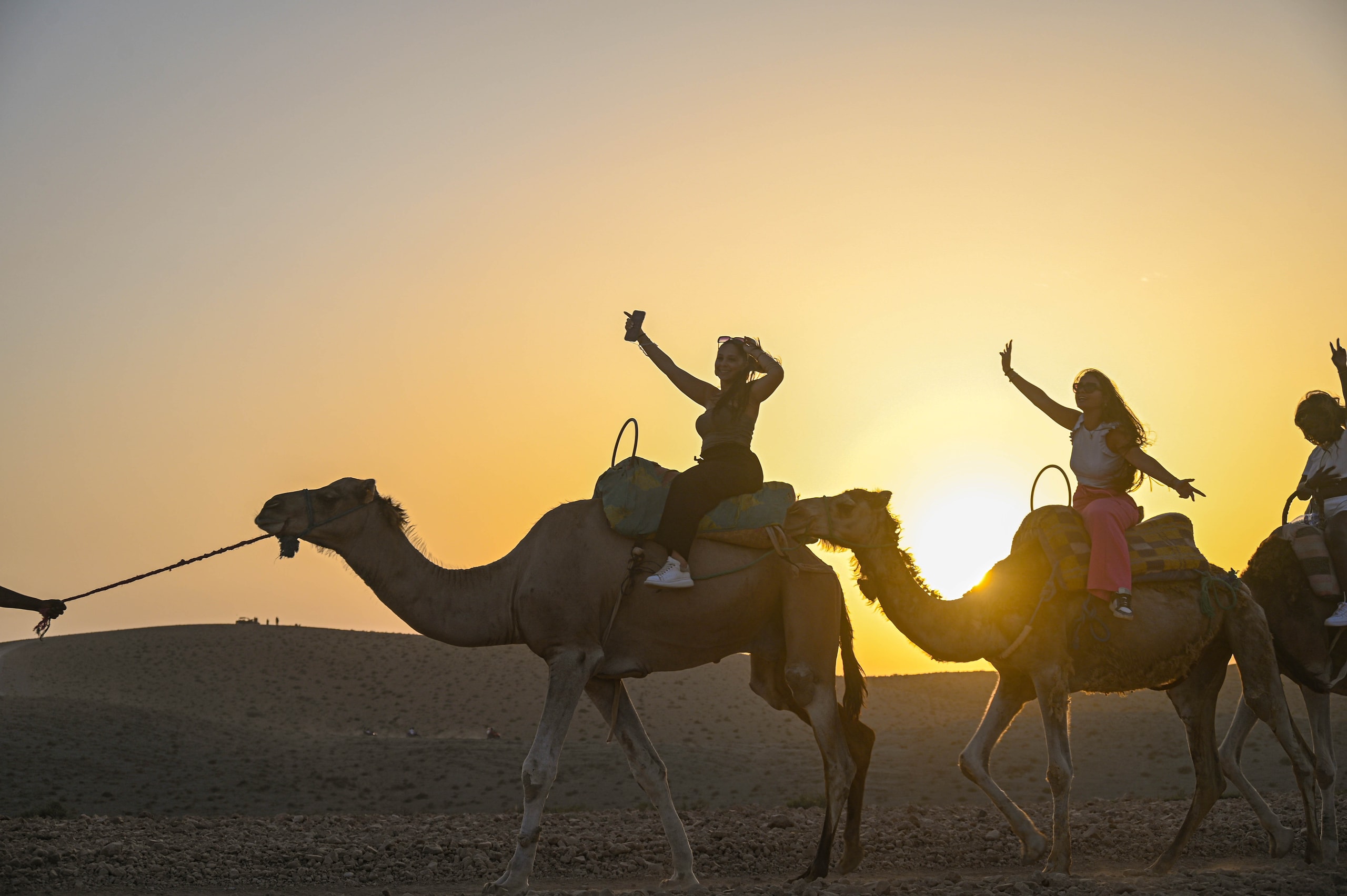 Quad and Camel Combo – 2H Quad + 1H Camel